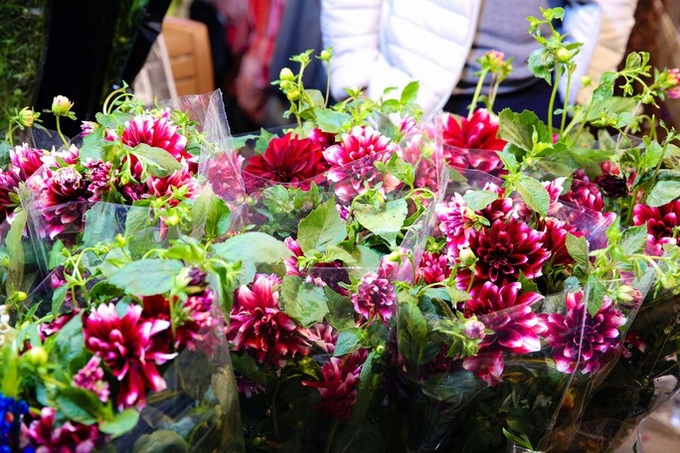 Quang An flower market bustles as Tet nears - 4 Quang An flower market bustles as Tet nears - 4