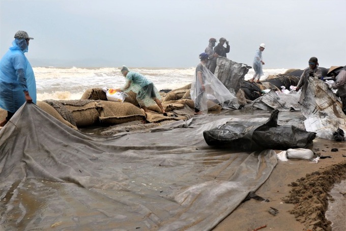 Nearly 100 people join in saving Hoi An beach from erosion - 3