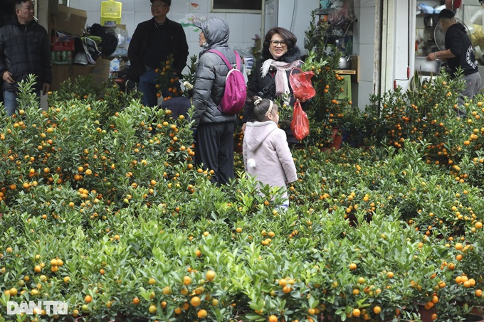 Hanoi streets becomes Tet markets - 5