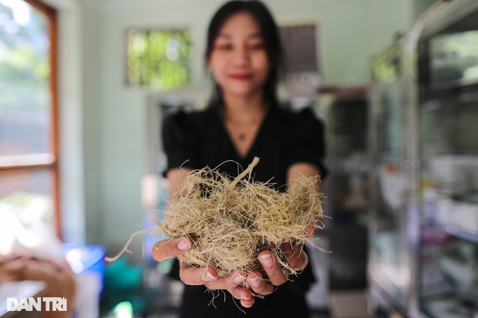 Saigon Zoo elephant dung used to make paper - 8 Saigon Zoo elephant dung used to make paper - 8