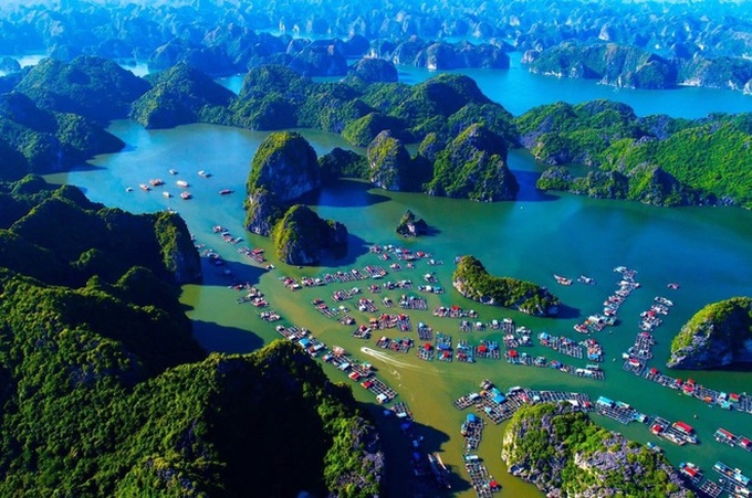 Hai Phong City relocates fish cages to preserve Cat Ba Islands - 1 Hai Phong City relocates fish cages to preserve Cat Ba Islands - 1