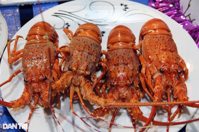 Pristine beauty of Phu Yen fishing village - 5 Pristine beauty of Phu Yen fishing village - 5