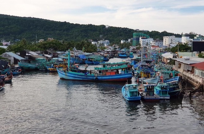 Phu Quoc seeking measures for Duong Dong river pollution - 1