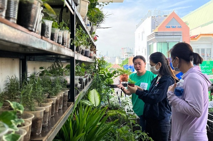 HCM City woman’s free young plant market - 1 HCM City woman’s free young plant market - 1