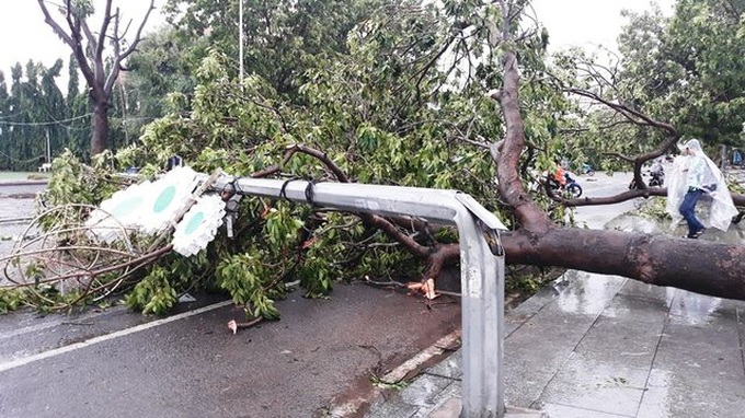 Storm Matmo ravages central Vietnam - 2