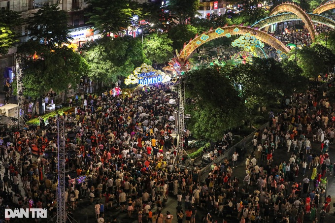 HCM City Tet Flower Street opens - 5