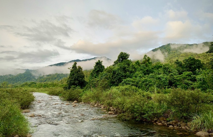 Ha Tinh national park’s pristine beauty - 6