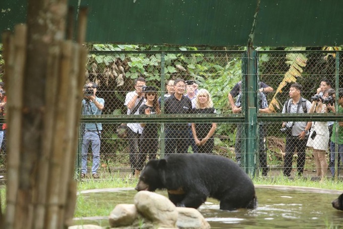 Second bear rescue centre to be built in Vietnam - 1 Second bear rescue centre to be built in Vietnam - 1