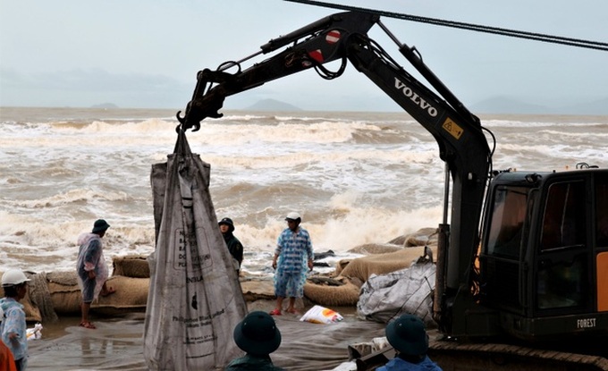 Nearly 100 people join in saving Hoi An beach from erosion - 6