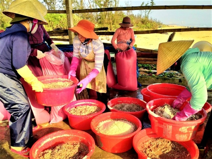 Quang Nam fishing port bustling with activities - 4 Quang Nam fishing port bustling with activities - 4