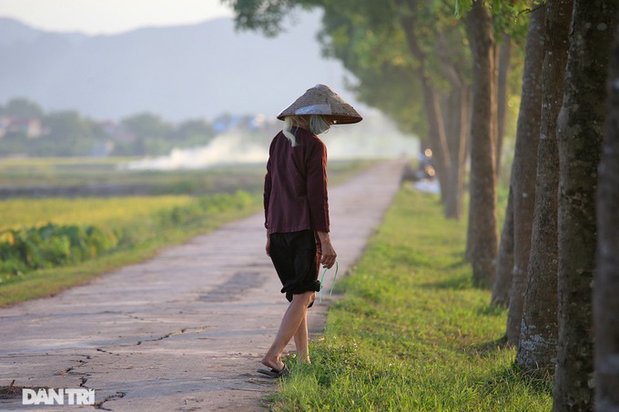 Hanoi's suburbs during ripening rice season - 7 Hanoi's suburbs during ripening rice season - 7