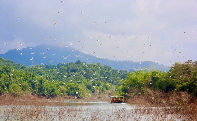 Ha Tinh national park’s pristine beauty - 1