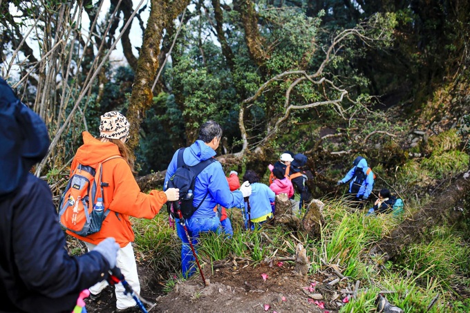 Pristine beauty of Ta Xua mountain peak - 1