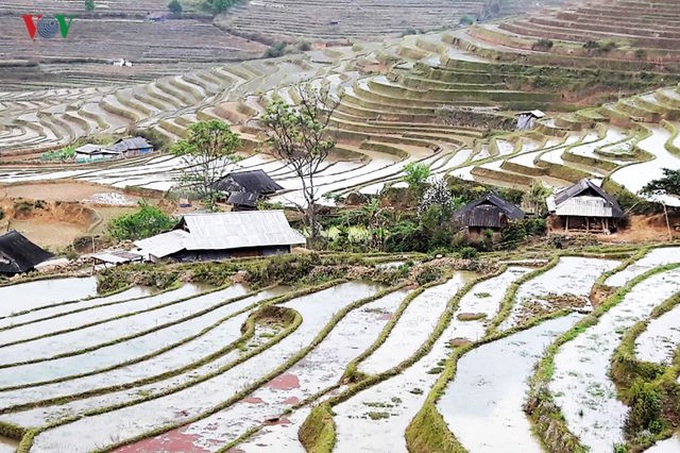 Stunning rice terraced fields in Lai Chau - 7