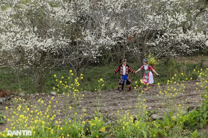 Ha Giang highlighted by spring flowers - 4 Ha Giang highlighted by spring flowers - 4