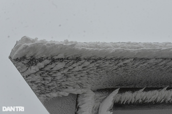 Lang Son mountain covered in frost - 8