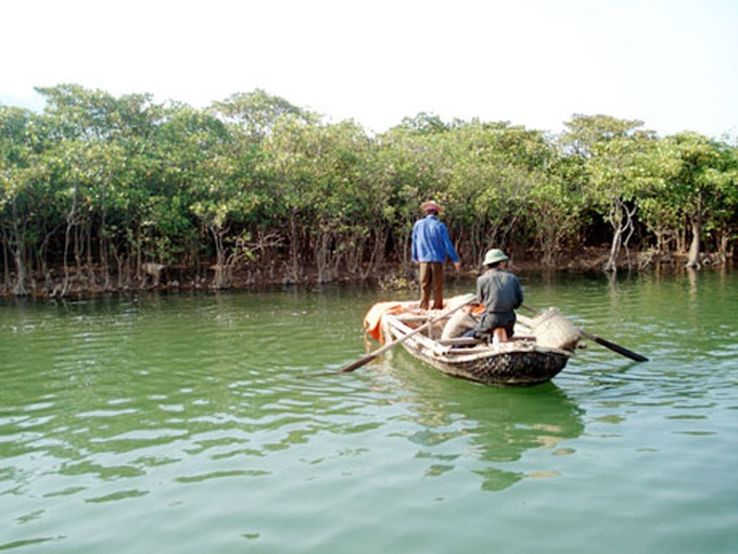 Quang Ninh thermal power plant accused of causing air pollution - 1