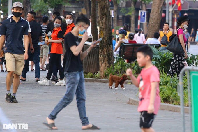 Violations found on Hanoi pedestrian streets - 9