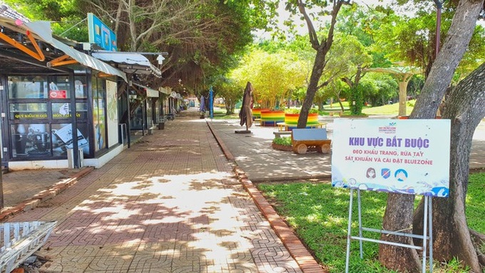 Vung Tau mountain monkeys look for food on streets - 5
