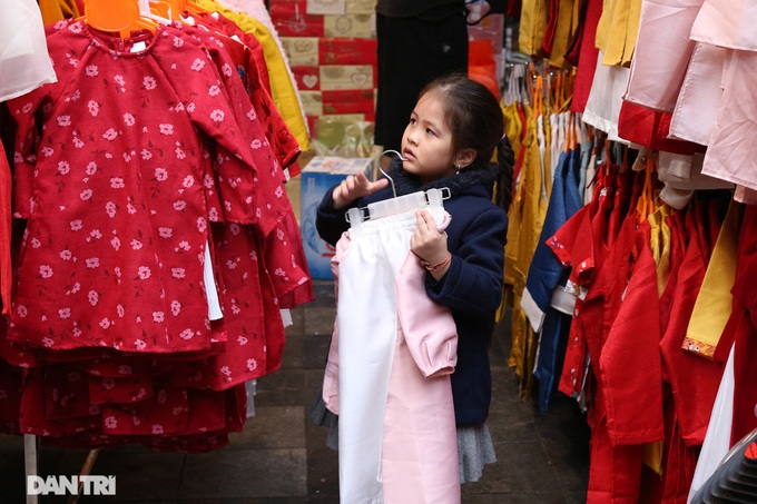 Hanoi flower market ahead of Tet - 8