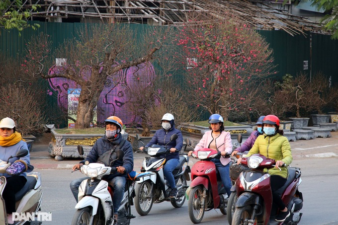 Early peach blossoms on Hanoi streets - 10