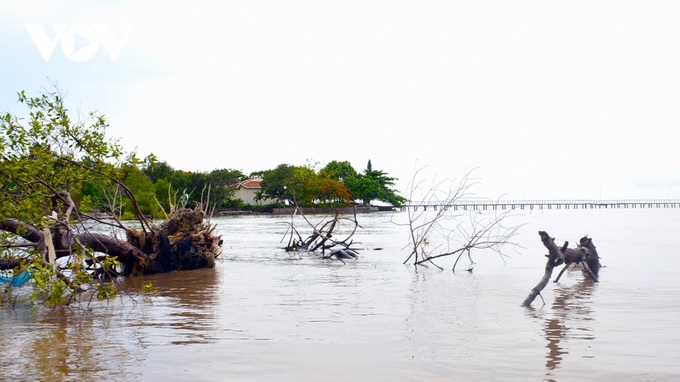 VND849 billion to be spent on Ca Mau’s sea dyke system - 1 VND849 billion to be spent on Ca Mau’s sea dyke system - 1