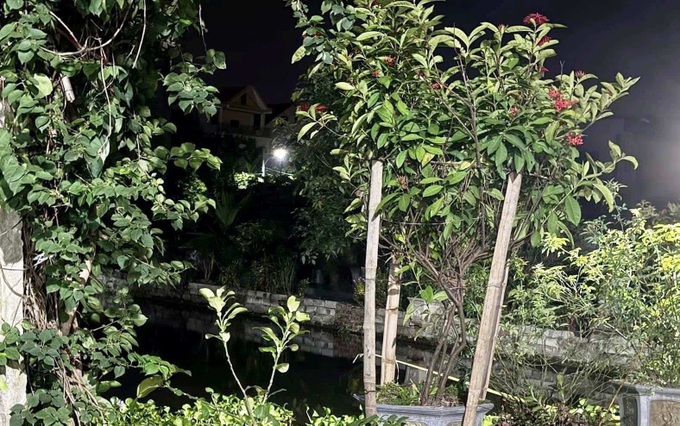 Three children drown at Ninh Binh pond - 1 Three children drown at Ninh Binh pond - 1