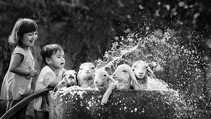 Balkan Exhibition honours Vietnamese photographers - 1