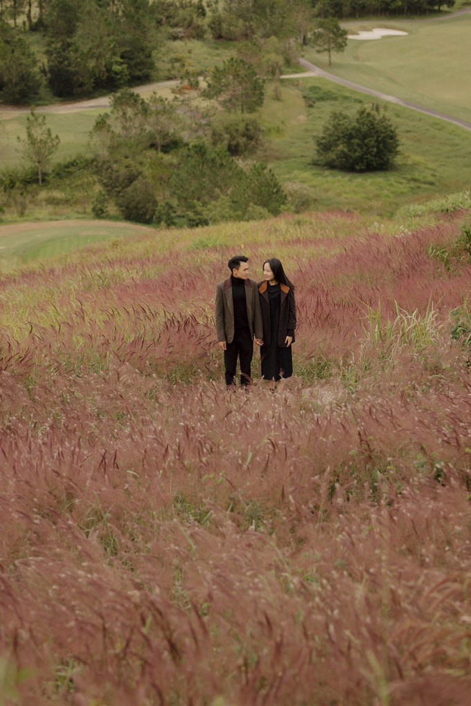 Da Lat’s stunning pink grass hills attract visitors - 4 Da Lat’s stunning pink grass hills attract visitors - 4