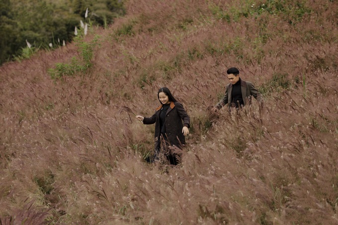 Da Lat’s stunning pink grass hills attract visitors - 3 Da Lat’s stunning pink grass hills attract visitors - 3