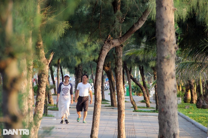 Public parks built along Phu Yen beaches - 8