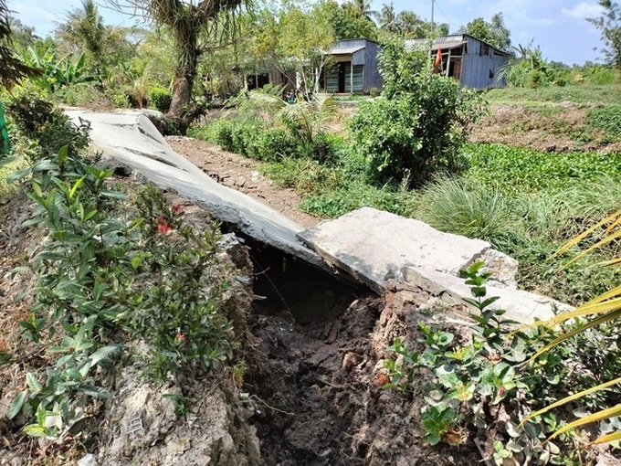 Drought worsens erosion in Ca Mau - 2 Drought worsens erosion in Ca Mau - 2