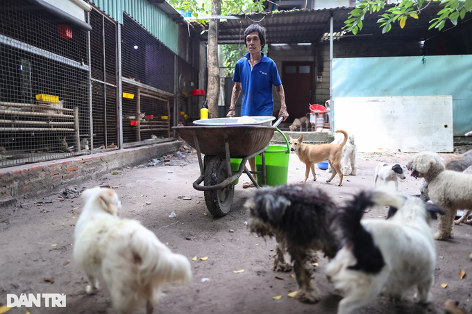 HCM City woman saves hundreds of dogs from slaughterhouses - 6
