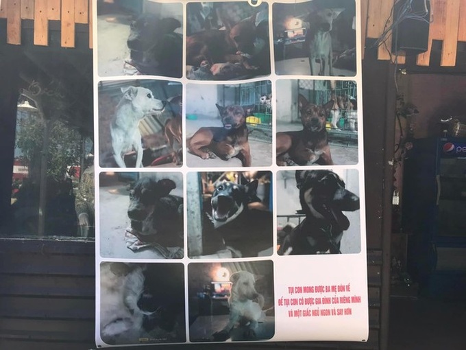 Danang team raises funds for dog and cat rescue - 3