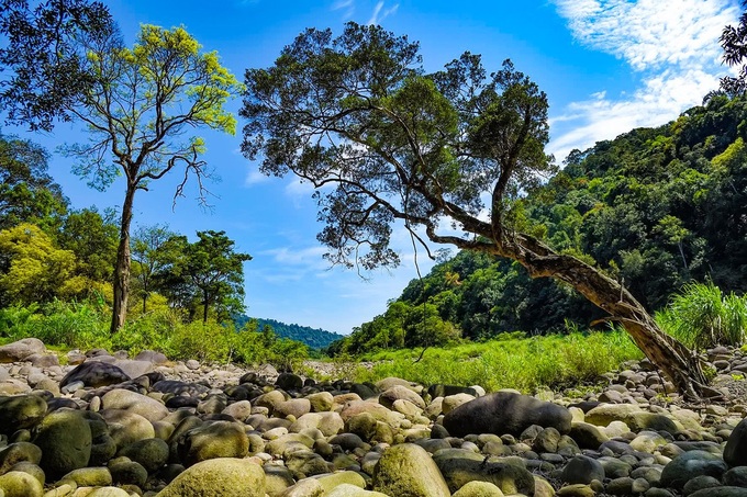 Ha Tinh national park’s pristine beauty - 2