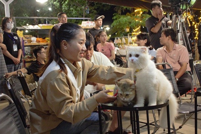 Danang team raises funds for dog and cat rescue - 2