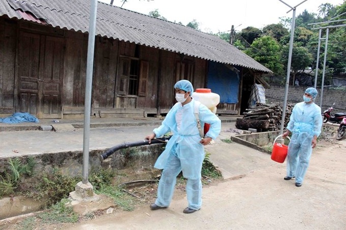 20 localities hit by African swine fever after Lai Chau outbreak - 1
