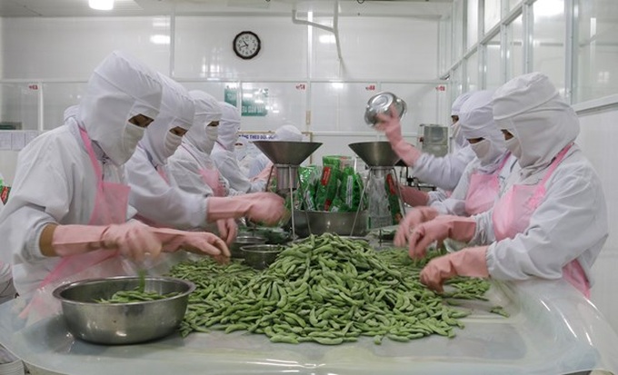 Agriculture minister views export target of 44 bln USD as feasible - 1