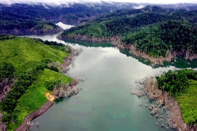 Kon Tum to define those responsible for mass forest death - 1