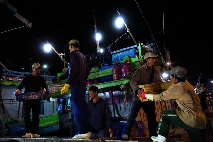 Busy night at central Vietnam’s largest fish port - 1