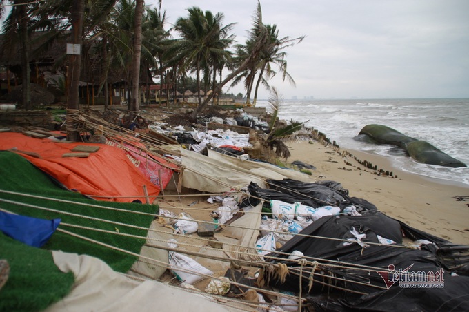 USD41.78 million for coastal erosion prevention in Hoi An - 1 USD41.78 million for coastal erosion prevention in Hoi An - 1