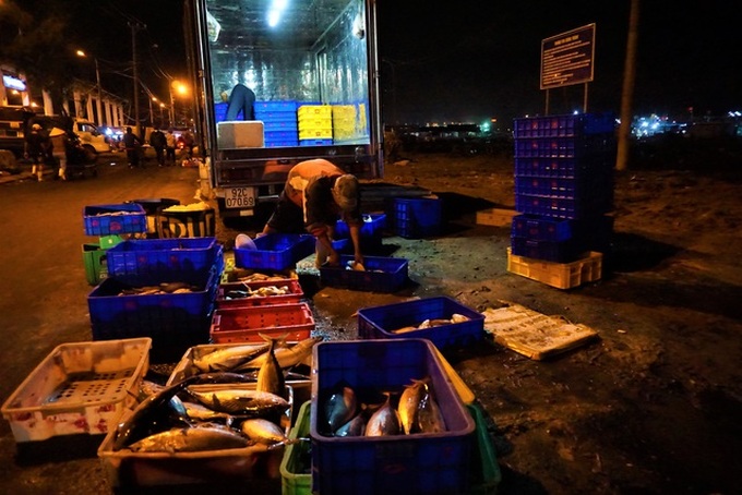 Busy night at central Vietnam’s largest fish port - 11