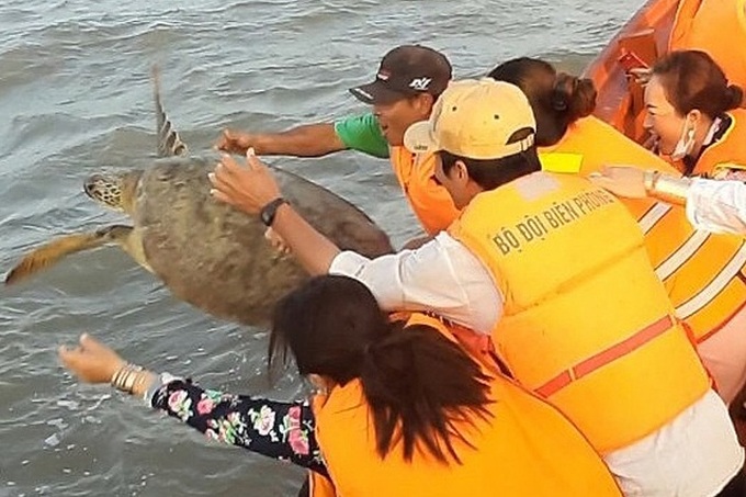 Rare turtle released back to the wild - 1 Rare turtle released back to the wild - 1