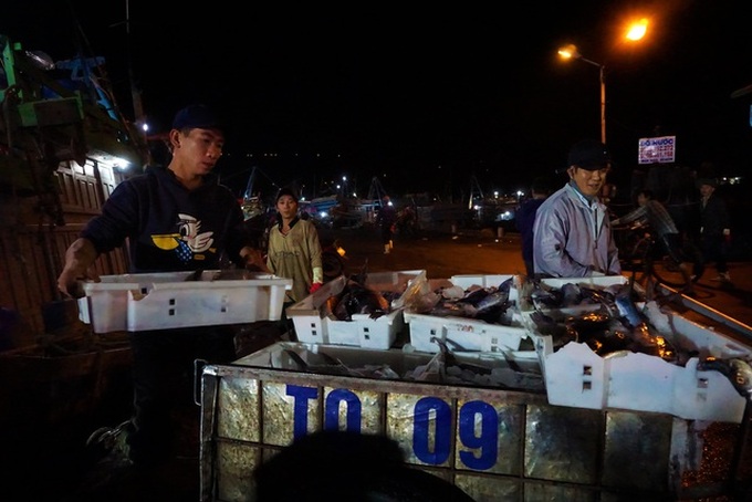 Busy night at central Vietnam’s largest fish port - 2