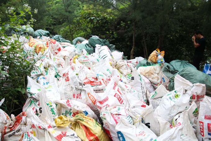 Young people clean up Son Tra Peninsula - 4 Young people clean up Son Tra Peninsula - 4