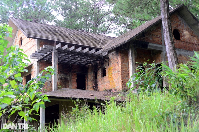 Villas left abandoned in Da Lat pine forest - 4