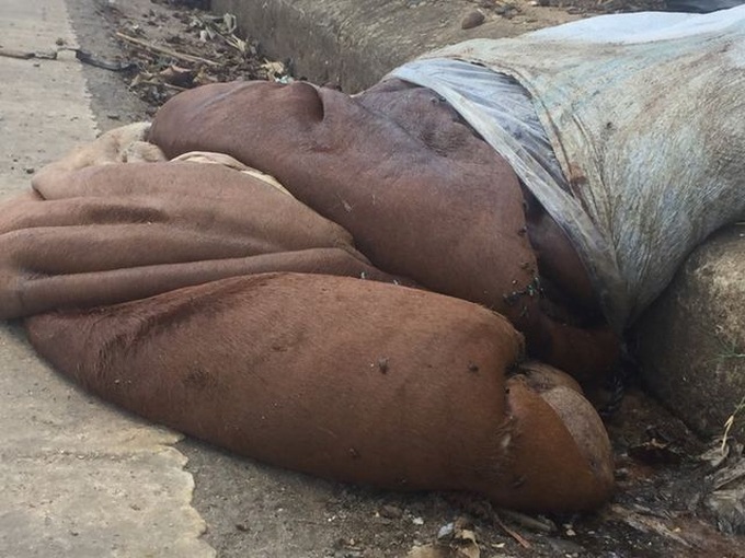 Mountainous town battles waste disposal headache - 4