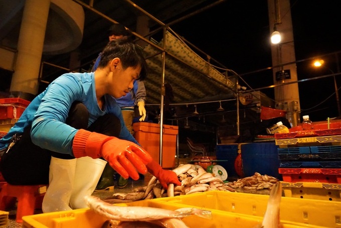 Busy night at central Vietnam’s largest fish port - 8