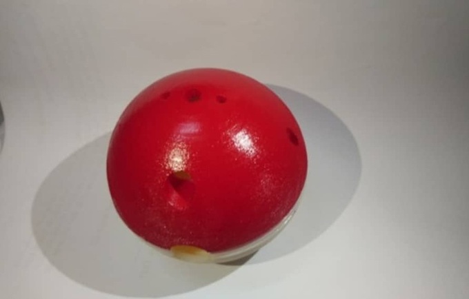 Hanoi student invents dog attack deterrent - 2