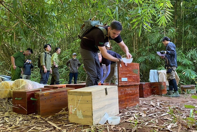 Dozens of pangolins, monkeys released into wild - 1 Dozens of pangolins, monkeys released into wild - 1